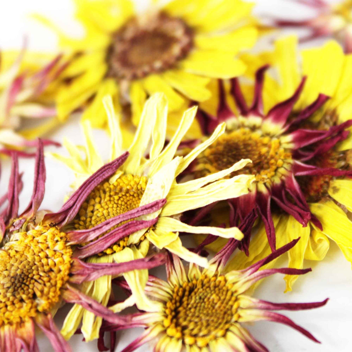 Nurtured In Norfolk Pressed Mini Daisy Edible Flowers