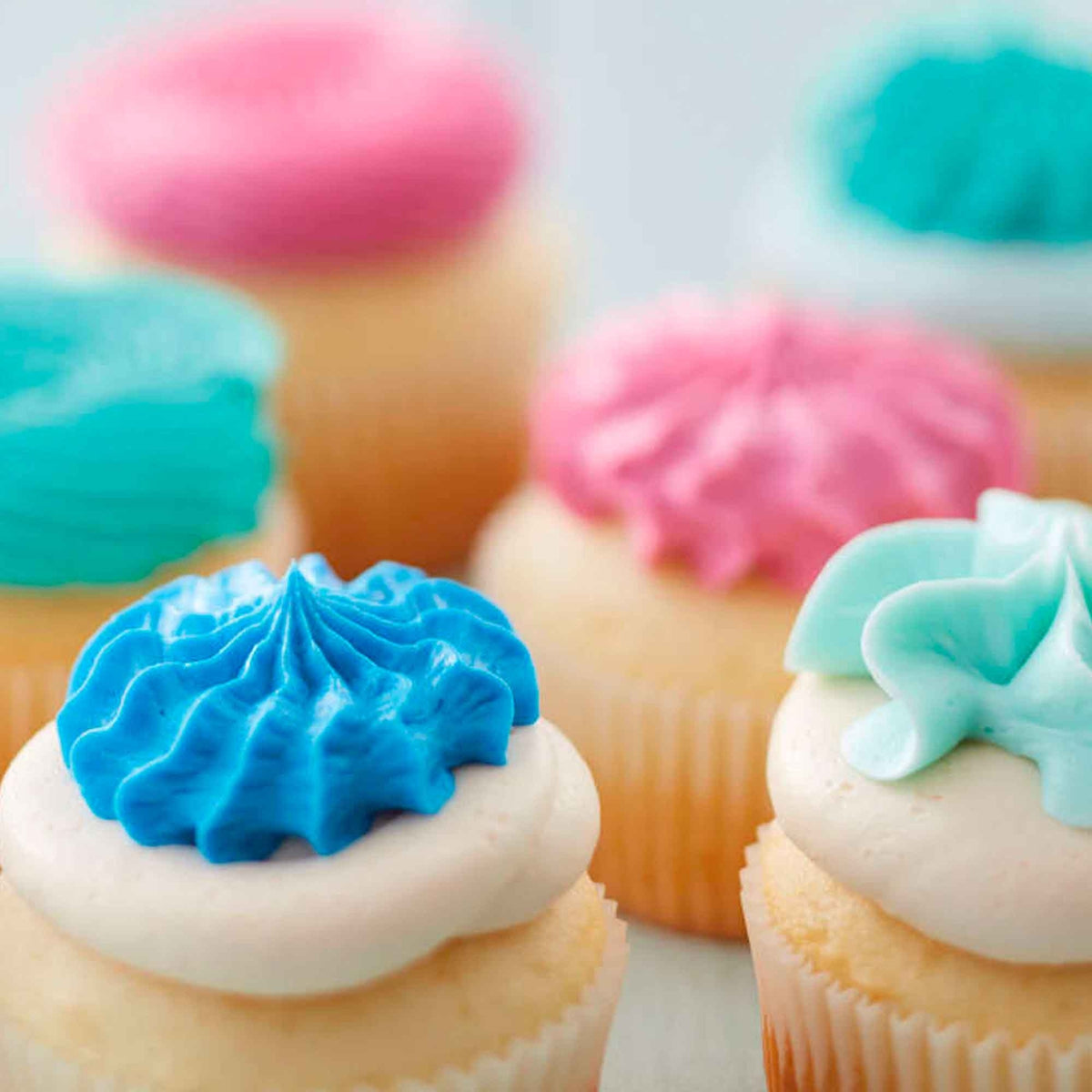 Wilton Cupcake Decorating Set Of 12