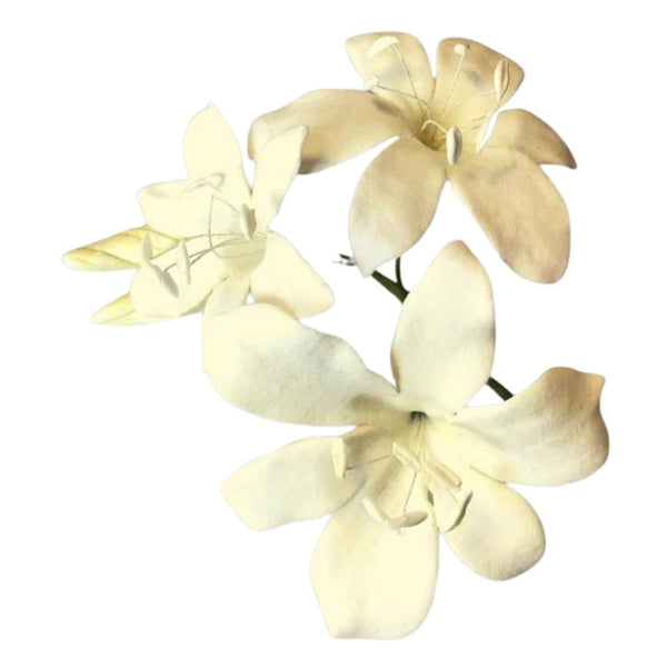 FMM Bridal Lily Cutter Set