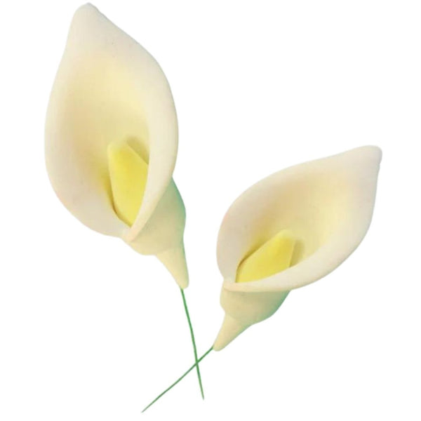 FMM Arum Lily Icing Cutter & Veiner Set - FMM