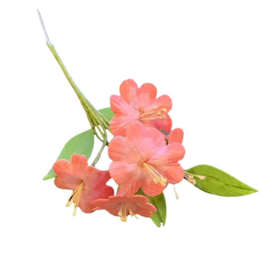 FMM Blossom Cutter Set Of 2 (Large)