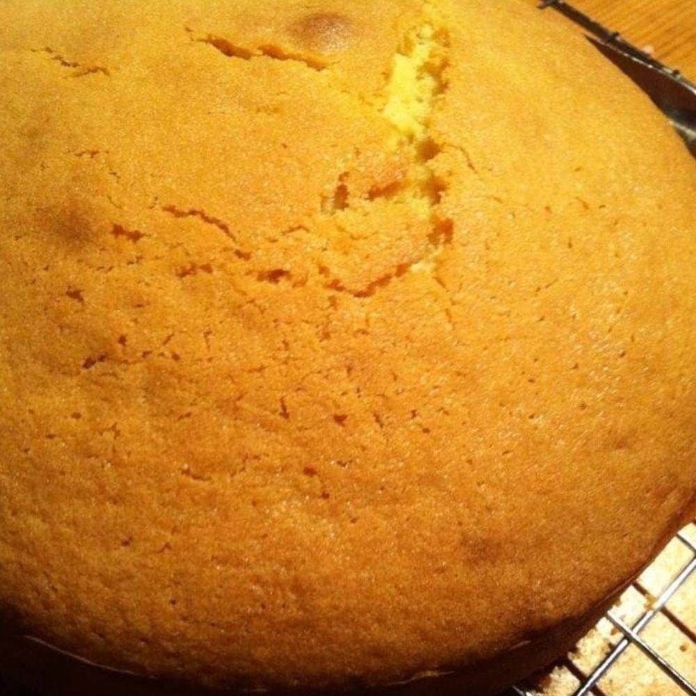 Craigmillar Madeira Sponge Cake Mix 12.5kg