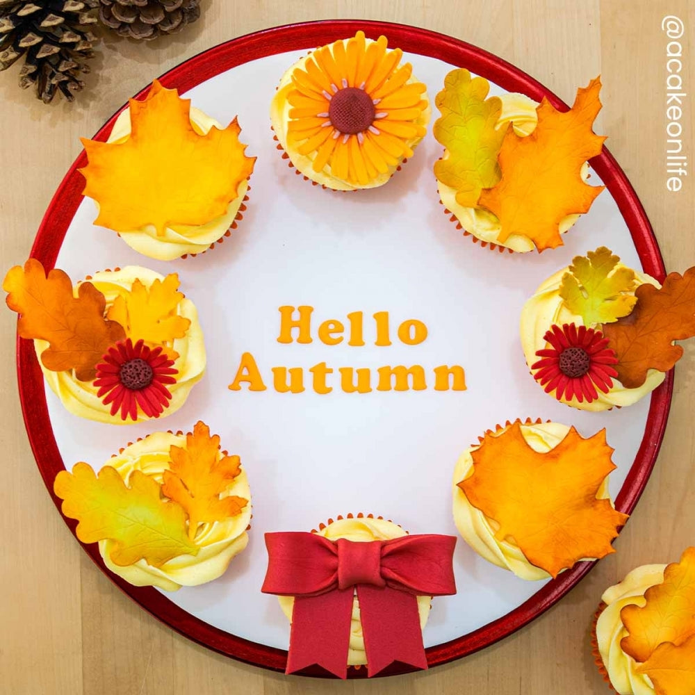 FMM Seasonal Leaves Icing Cutter Set