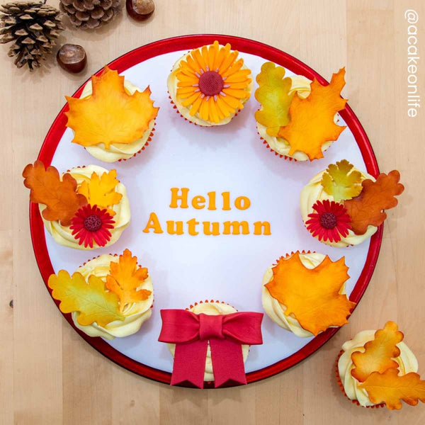 FMM Seasonal Leaves Icing Cutter Set