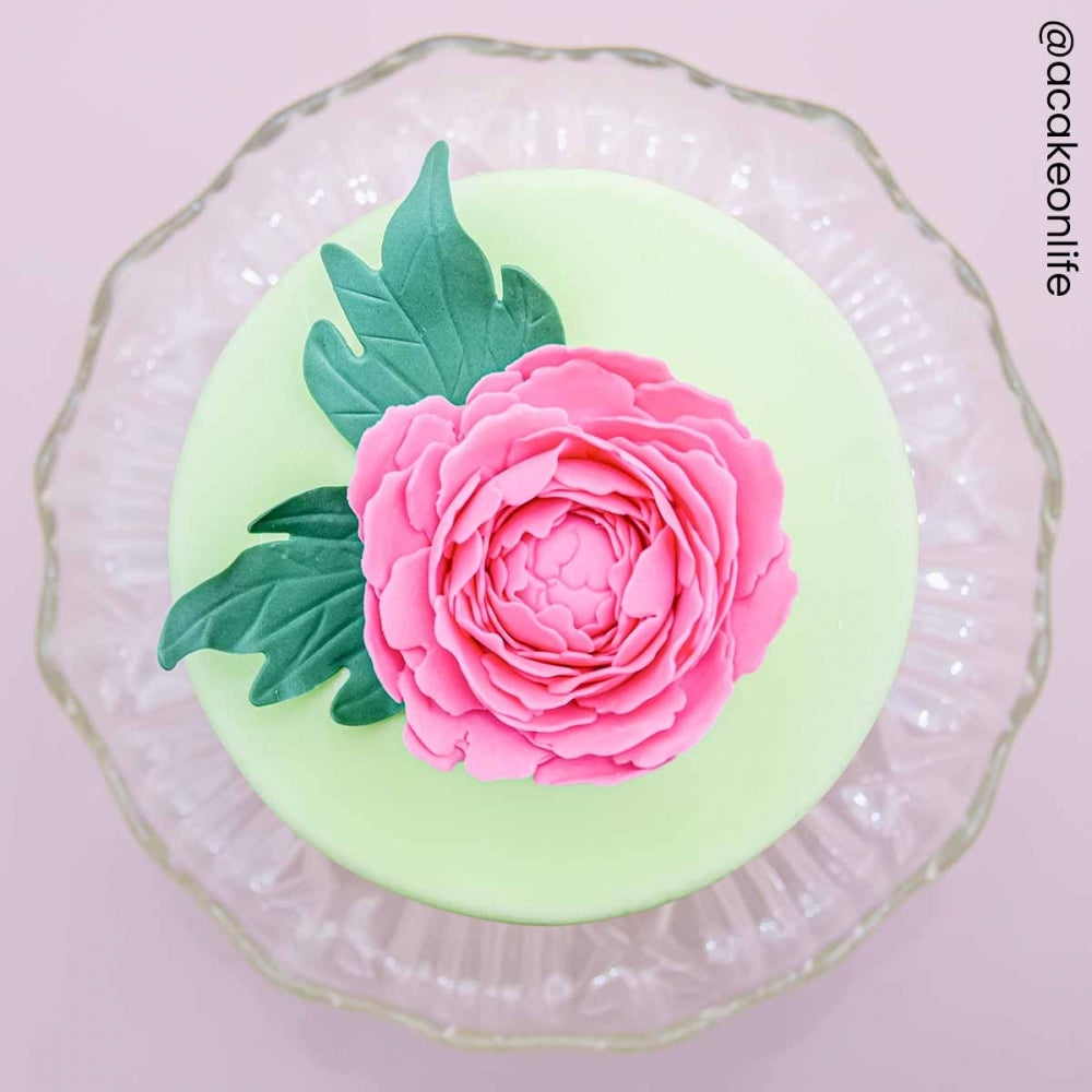FMM Easiest Peony Ever With Leaf Cutter Set