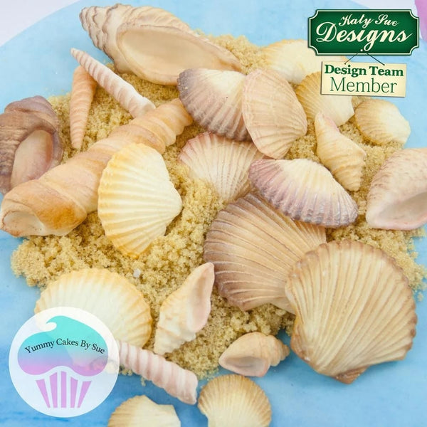 Katy Sue Designs Seashells Silicone Mould - Katy Sue Designs