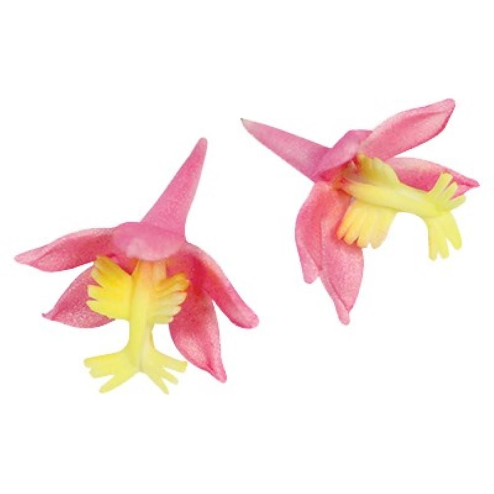 PME Poor Man's Orchid 2 pc fondant icing gum paste cutter set