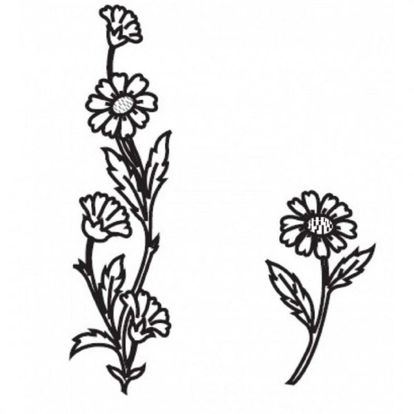 Patchwork Cutters DAISY CHAIN 2 pc icing flower cutter set