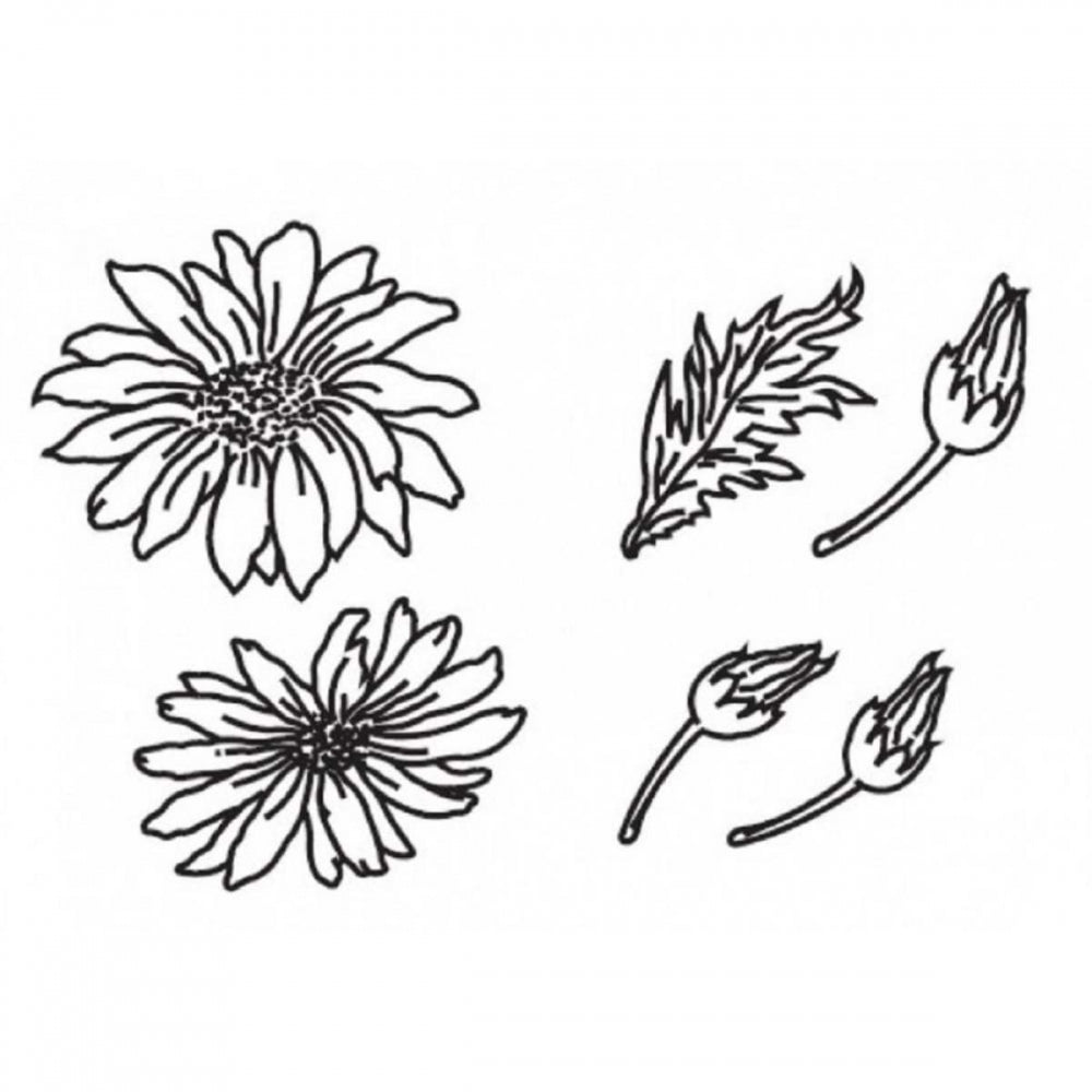 Patchwork Cutters LARGE DAISIES 6 pc icing flower cutter set