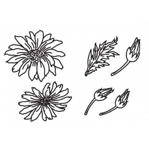 Patchwork Cutters LARGE DAISIES 6 pc icing flower cutter set