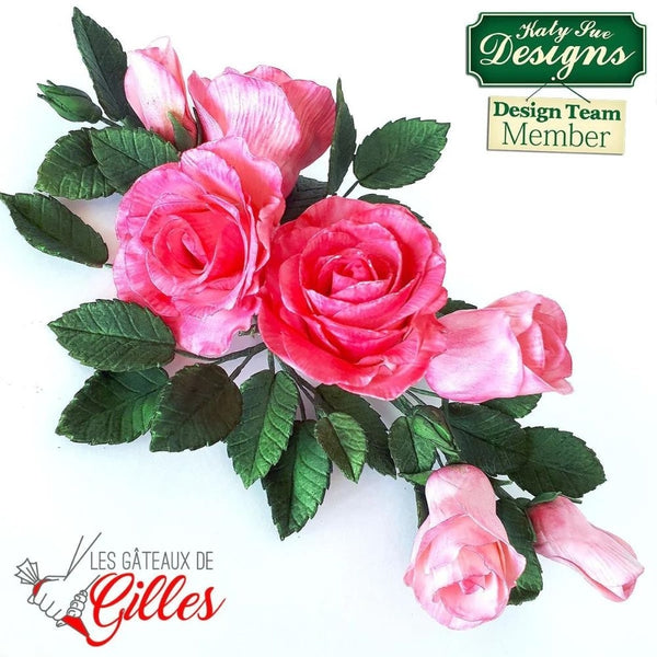 Katy Sue Designs Flower Pro Multi Leaf Veiner Silicone Mould - Nicholas Lodge Collection