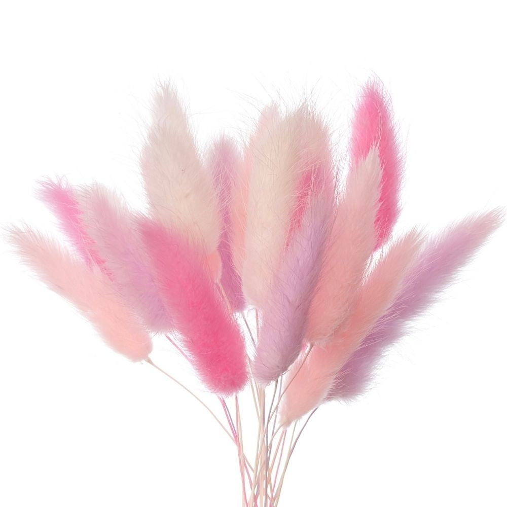 The Baked Studio Pink, White & Lilac Lagarus (Bunny Tails) Dried Flower Box