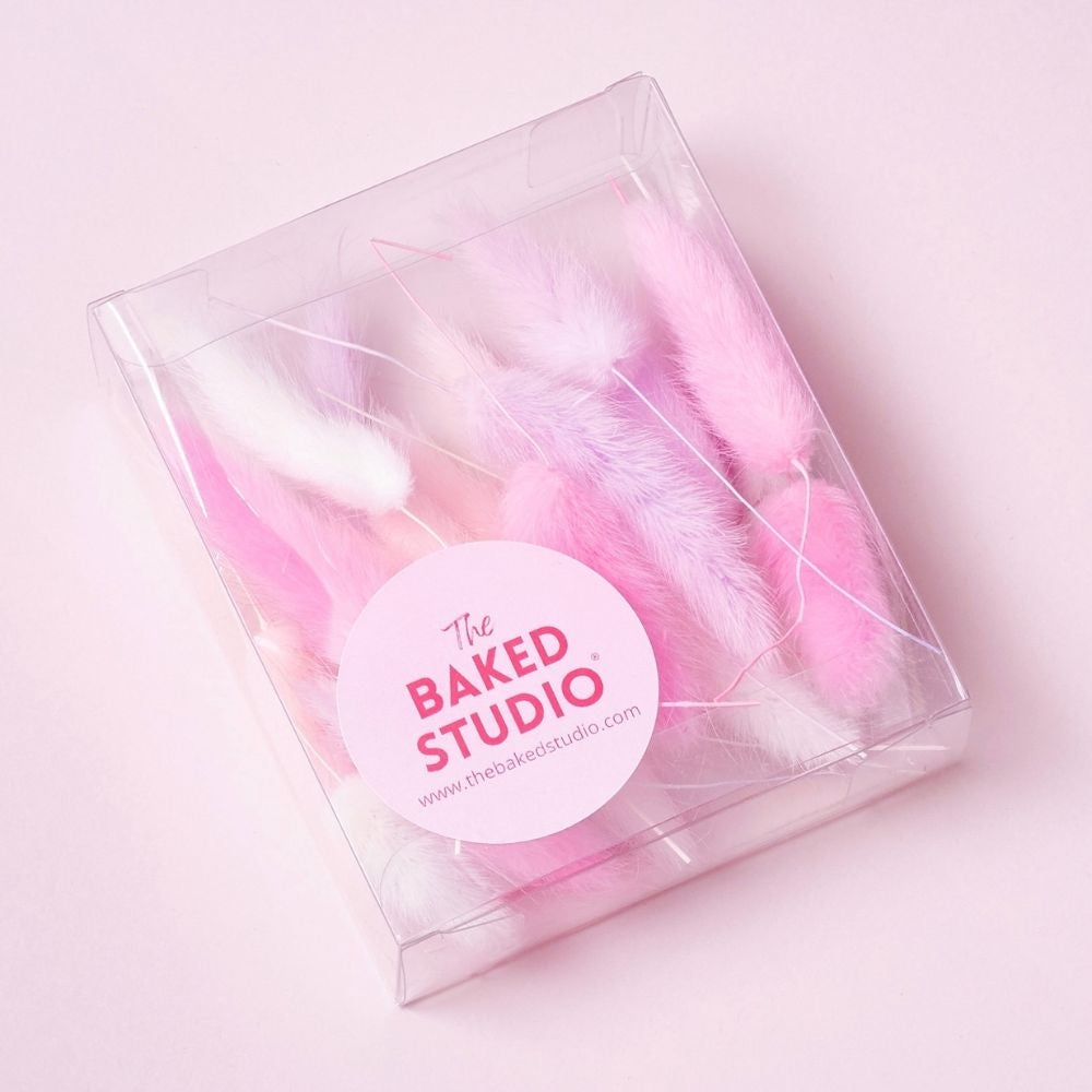The Baked Studio Pink, White & Lilac Lagarus (Bunny Tails) Dried Flower Box