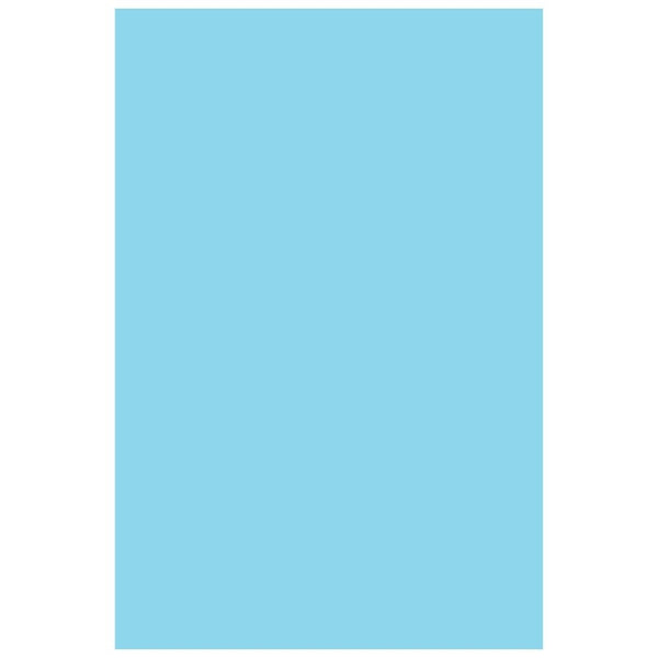 Simply Making Baby Blue Photography Backdrop