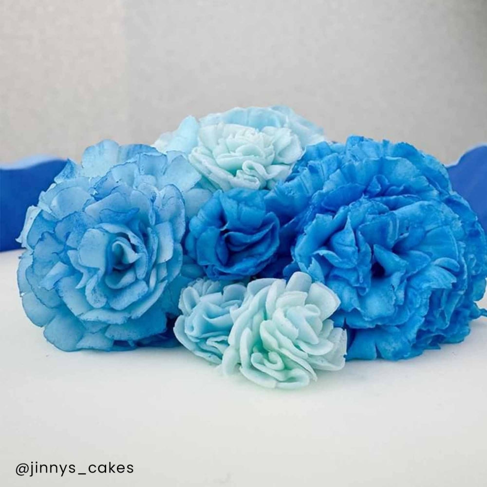 FMM The Easiest Carnation Ever Cutter Set Of 2