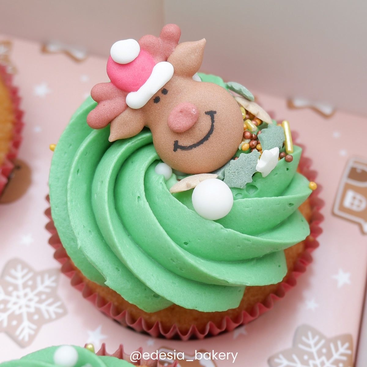 Wilton Christmas - Royal Icing Topper Set Of 12