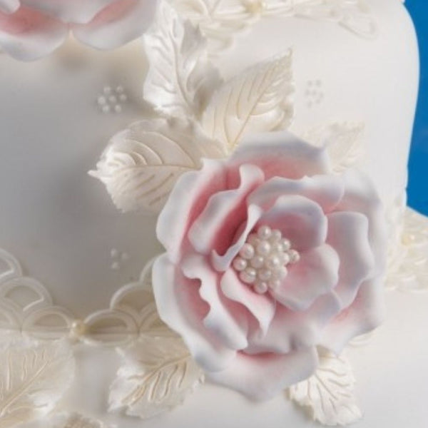 Patchwork Cutters Briar Rose Sugarcraft Icing Cutter Set Of 10