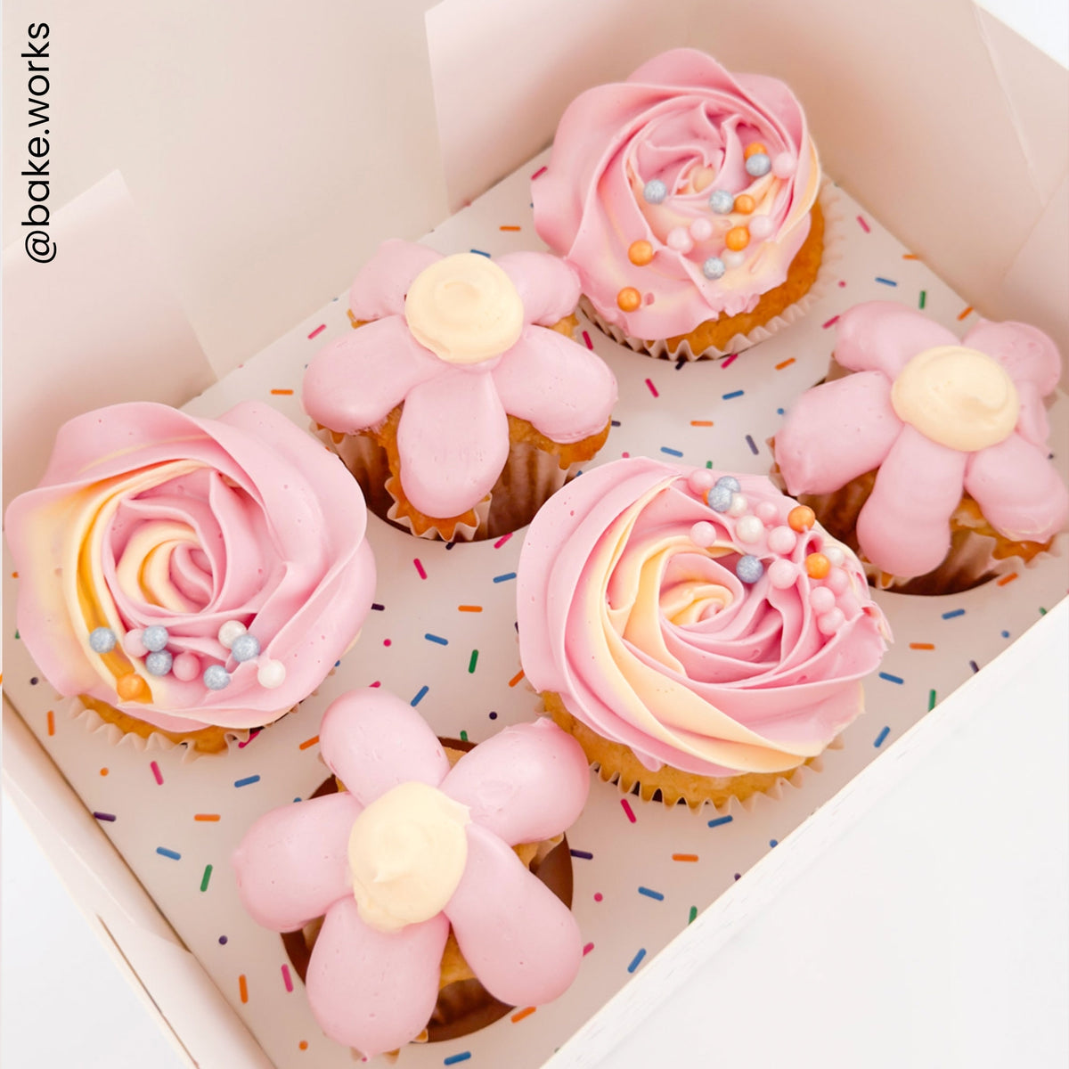 Simply Making Sprinkles Cupcake Box -  Pack Of 2