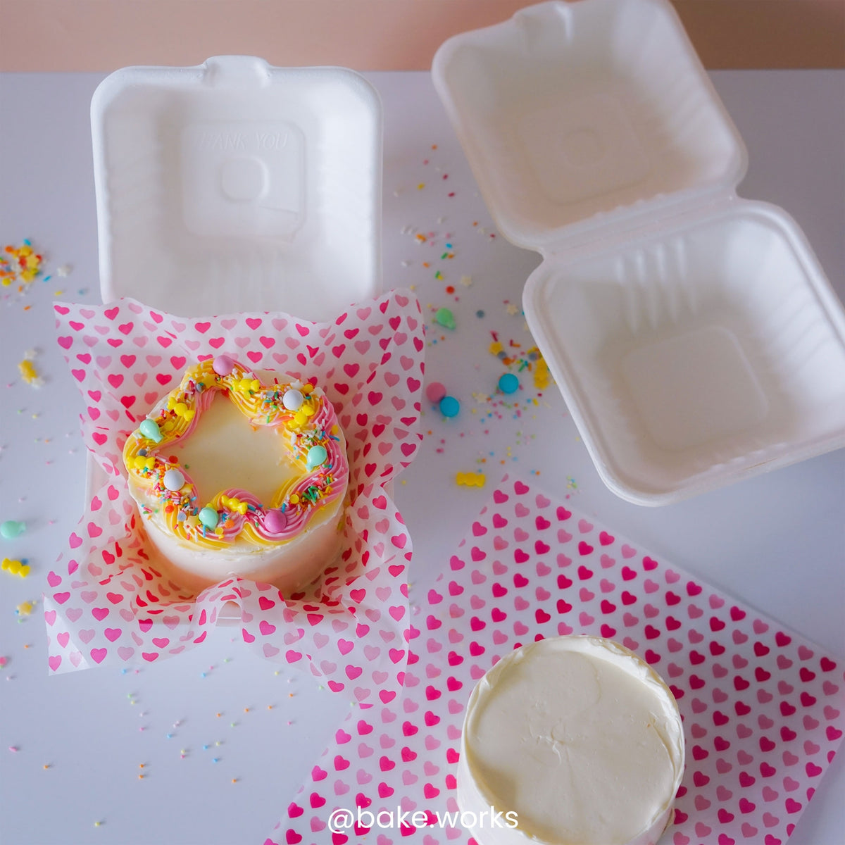 Simply Making White Bento Box x 10