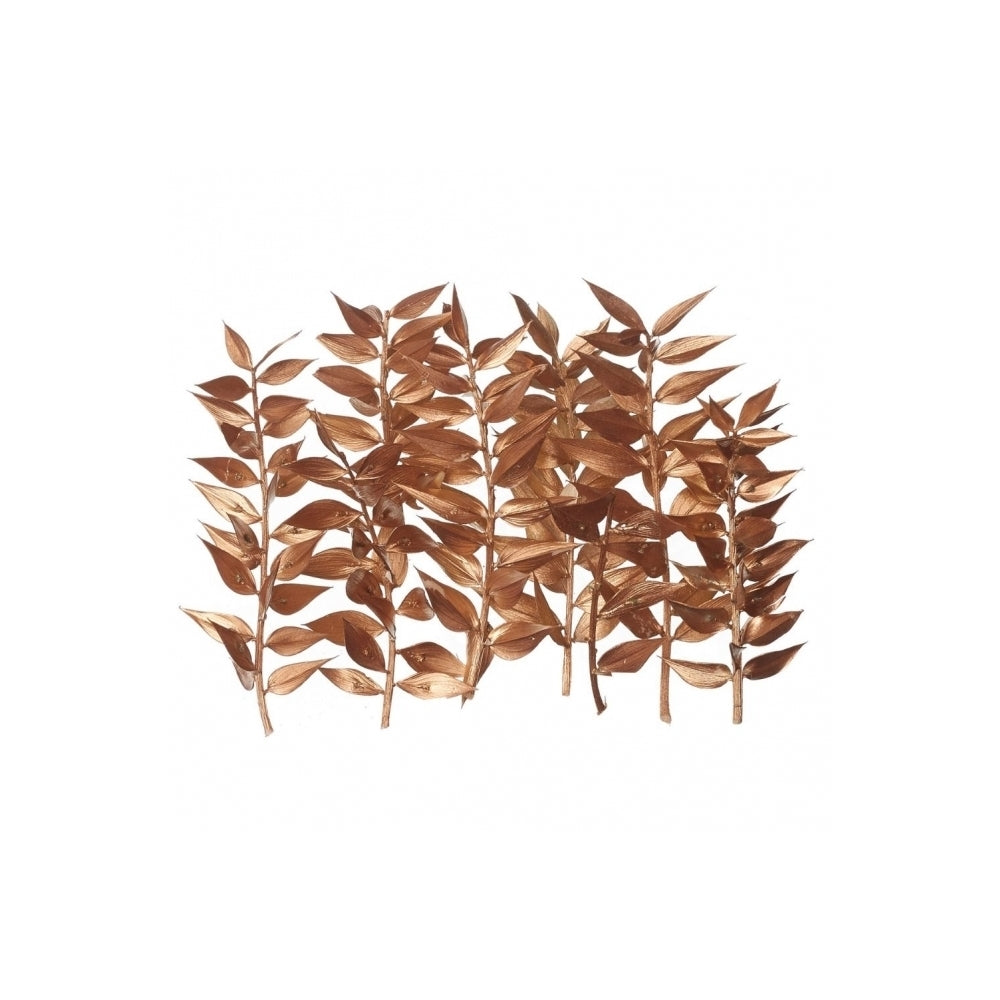 The Baked Studio Gold Ruscus Dried Flower Box