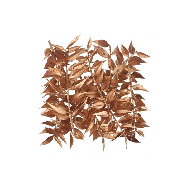 The Baked Studio Gold Ruscus Dried Flower Box