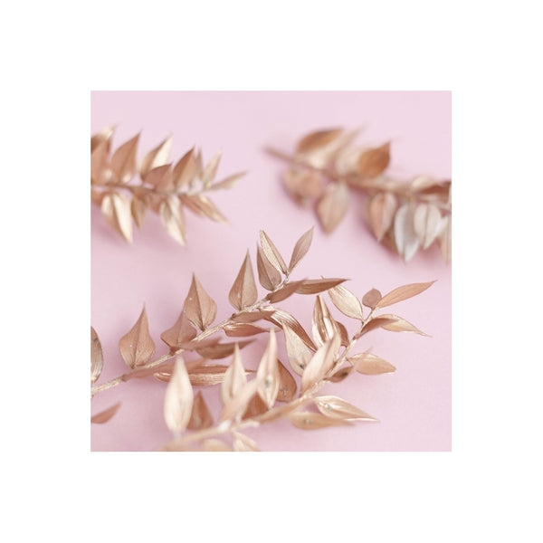 The Baked Studio Gold Ruscus Dried Flower Box