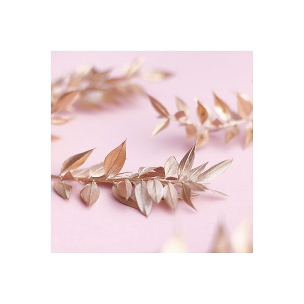 The Baked Studio Gold Ruscus Dried Flower Box