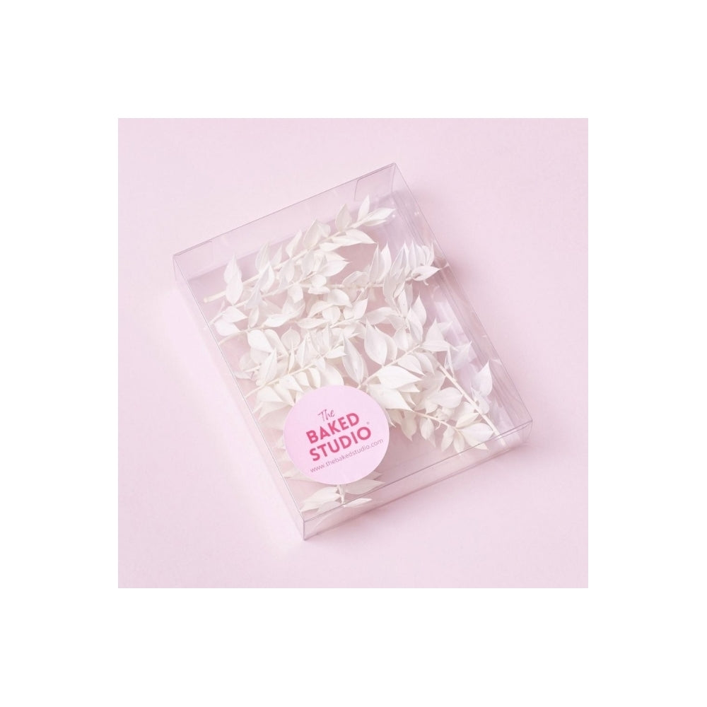 The Baked Studio White Ruscus Dried Flower Box