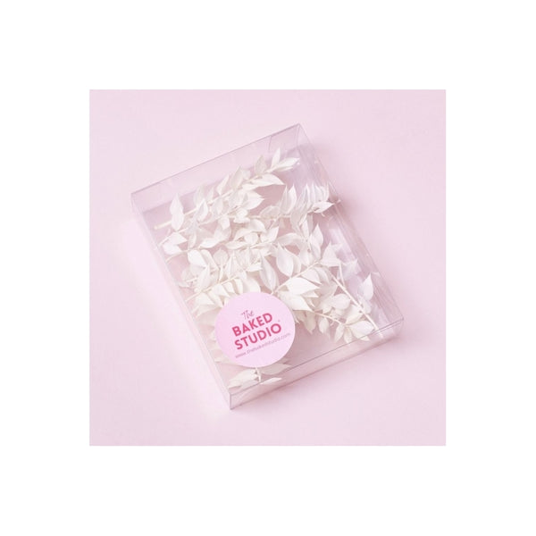 The Baked Studio White Ruscus Dried Flower Box