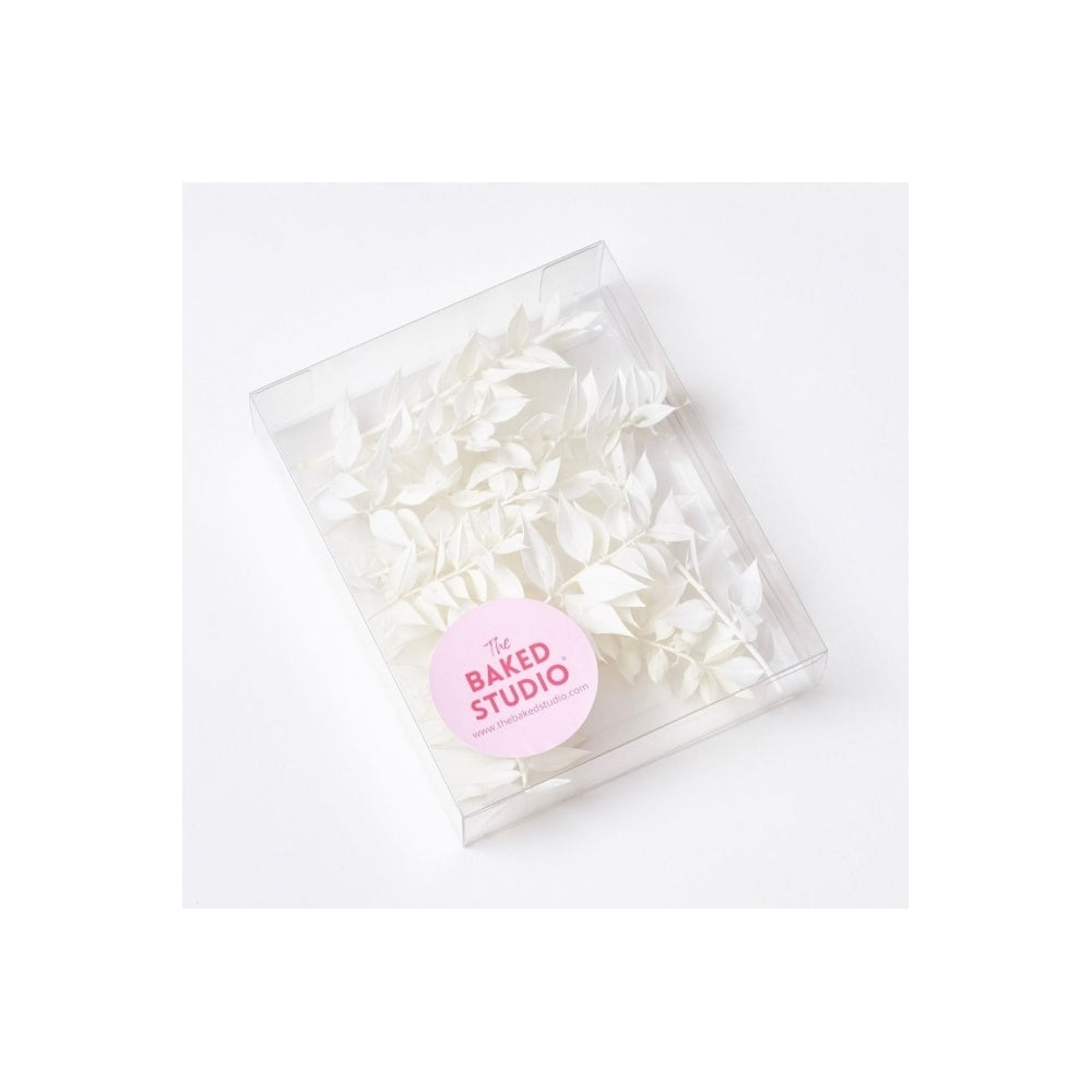 The Baked Studio White Ruscus Dried Flower Box