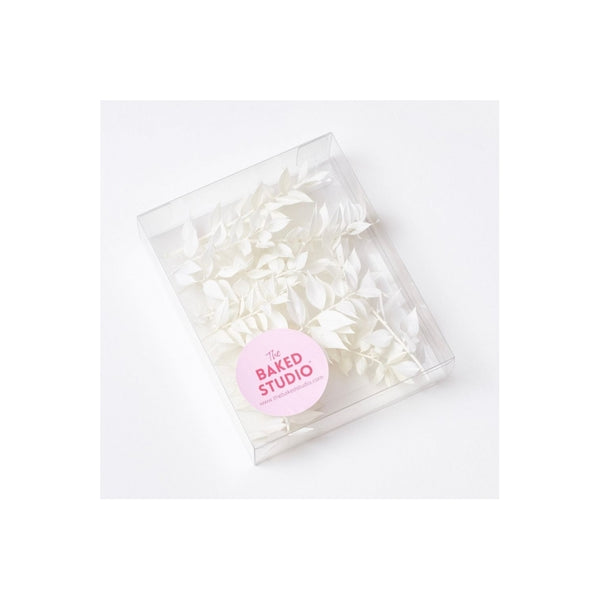 The Baked Studio White Ruscus Dried Flower Box