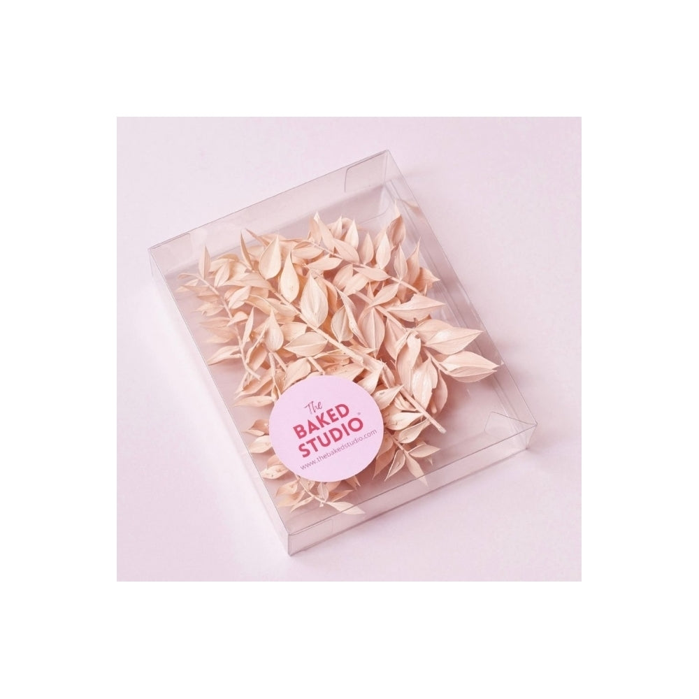 The Baked Studio Light Pink Ruscus Dried Flower Box
