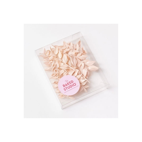 The Baked Studio Light Pink Ruscus Dried Flower Box