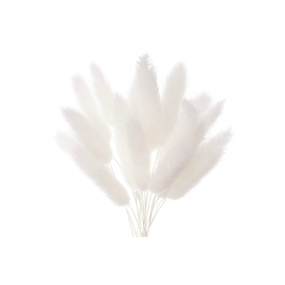 The Baked Studio White Lagarus (Bunny Tails) Dried Flower Box