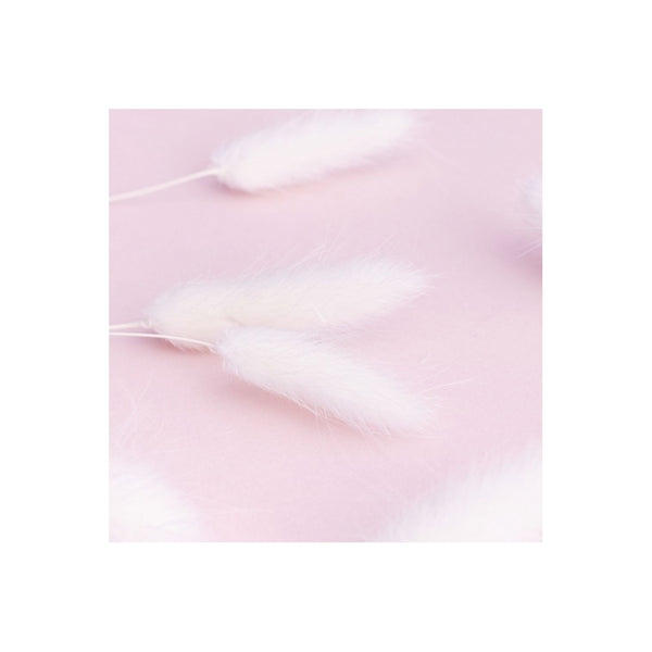 The Baked Studio White Lagarus (Bunny Tails) Dried Flower Box
