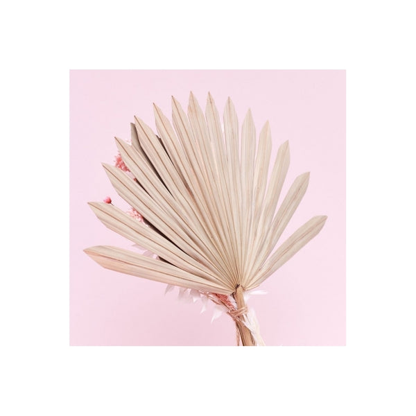 The Baked Studio Natural Pink Sun Palm & Palm Spear Bouquet