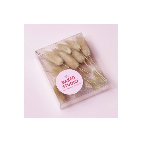 The Baked Studio Natural Lagarus (Bunny Tails) Dried Flower Box
