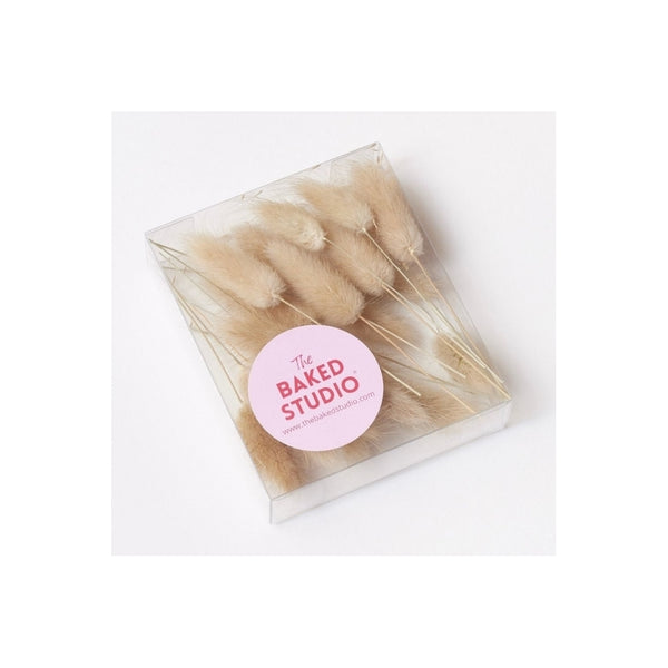 The Baked Studio Natural Lagarus (Bunny Tails) Dried Flower Box