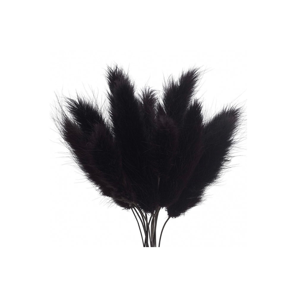 The Baked Studio Black Lagarus (Bunny Tails) Dried Flower Box