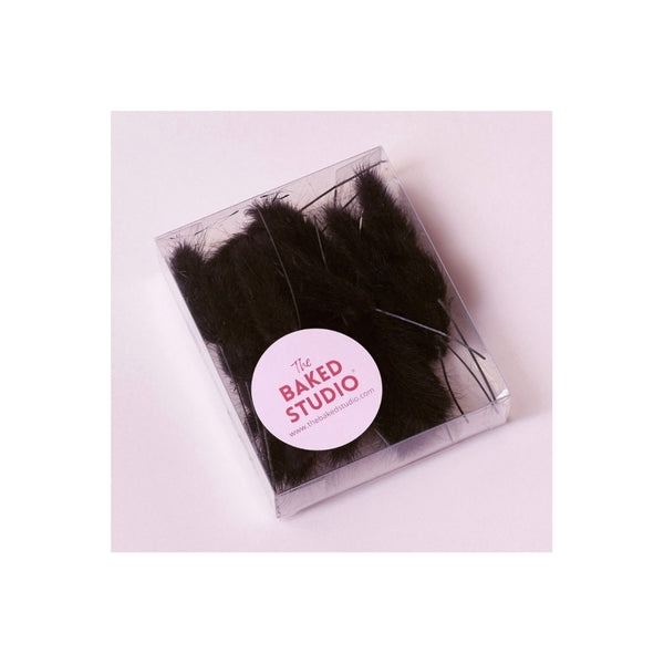 The Baked Studio Black Lagarus (Bunny Tails) Dried Flower Box