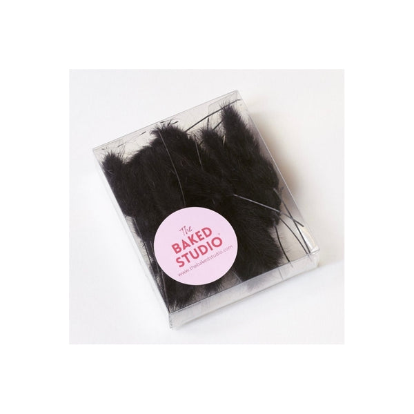 The Baked Studio Black Lagarus (Bunny Tails) Dried Flower Box
