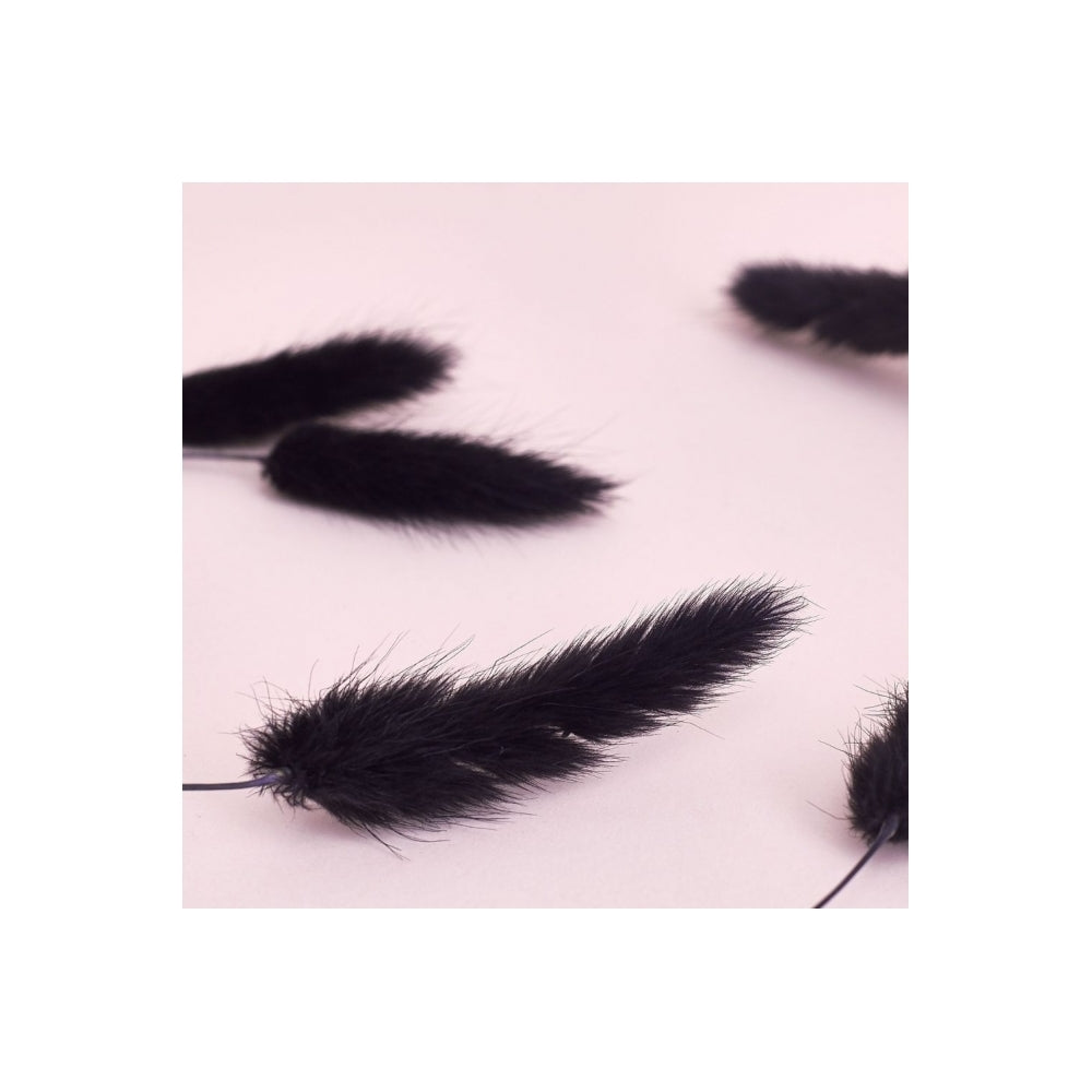The Baked Studio Black Lagarus (Bunny Tails) Dried Flower Box