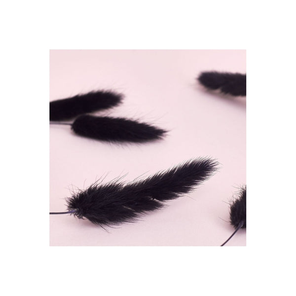The Baked Studio Black Lagarus (Bunny Tails) Dried Flower Box