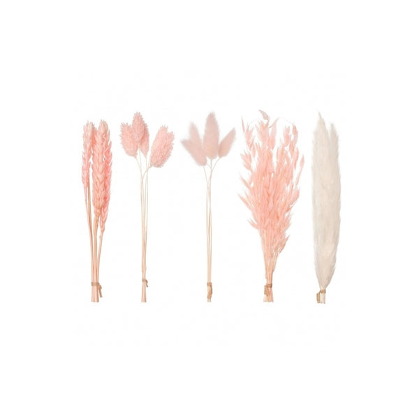 The Baked Studio Light Pink Mixed Dried Flower Box