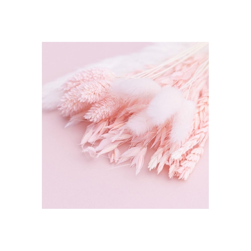 The Baked Studio Light Pink Mixed Dried Flower Box