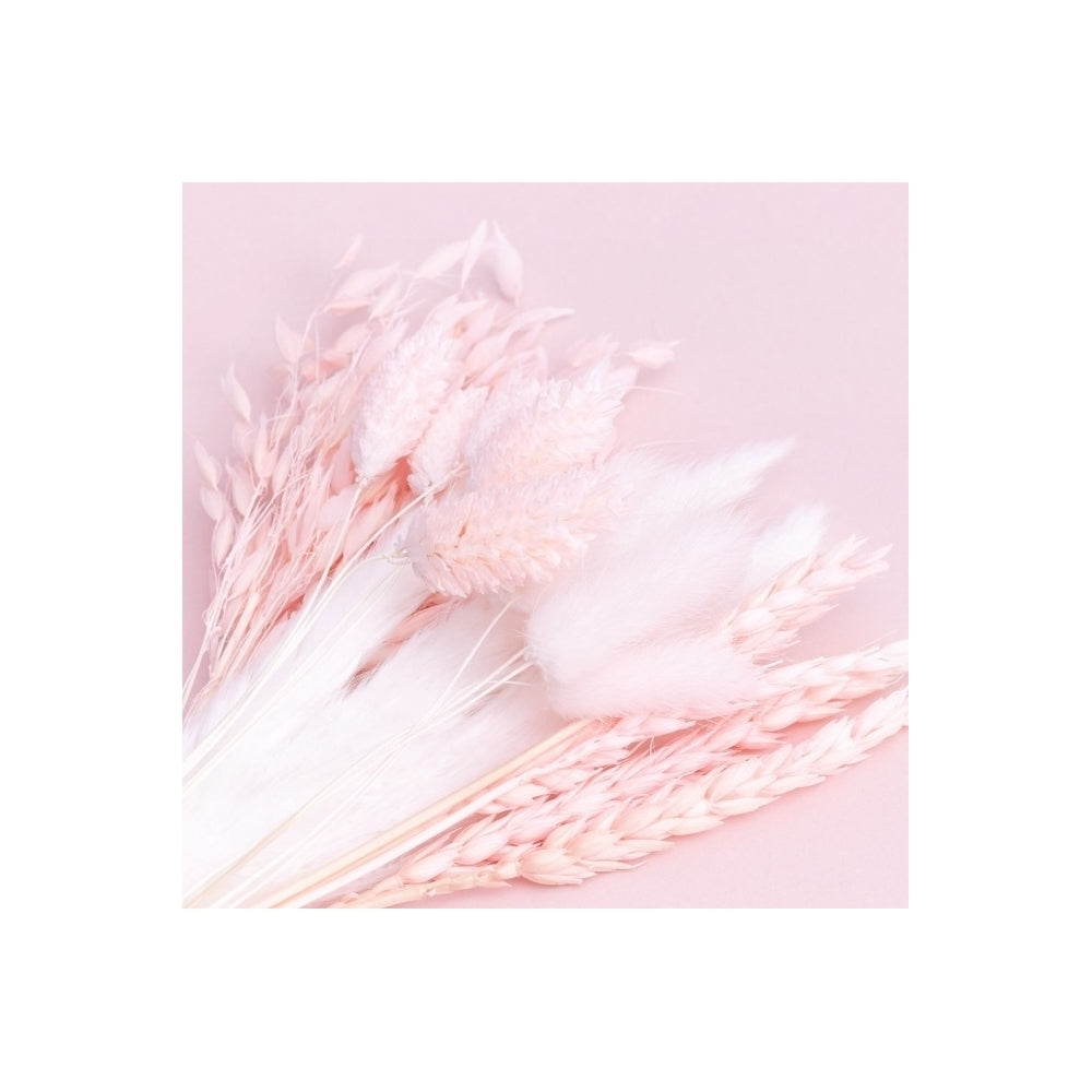 The Baked Studio Light Pink Mixed Dried Flower Box