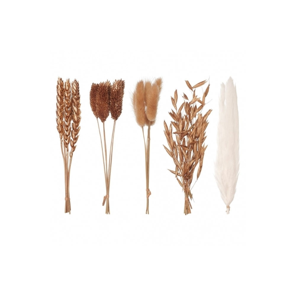 The Baked Studio Gold Mixed Dried Flower Box