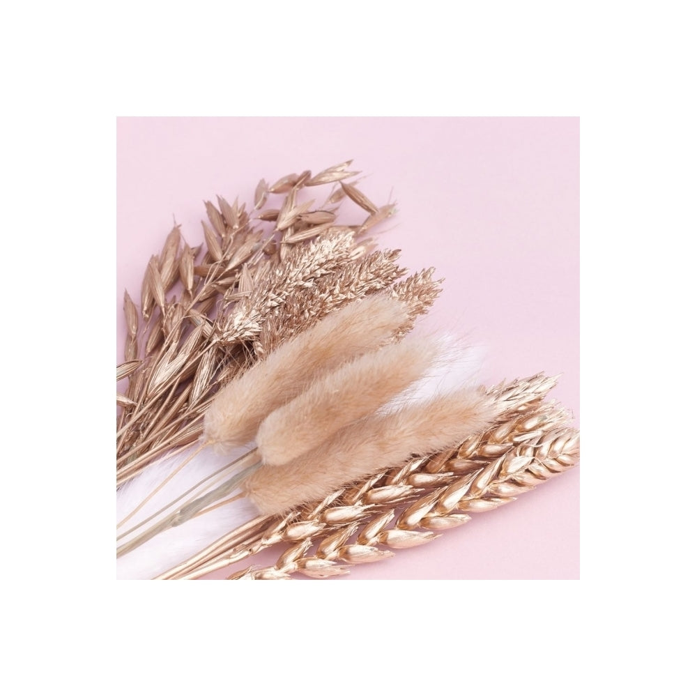 The Baked Studio Gold Mixed Dried Flower Box