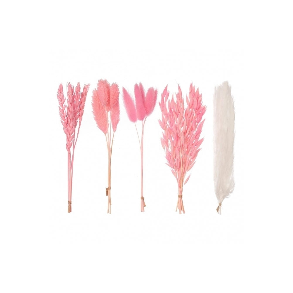 The Baked Studio Hot Pink Mixed Dried Flower Box