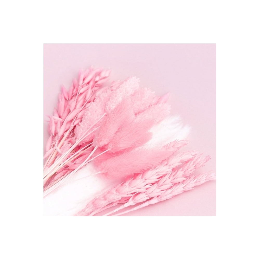 The Baked Studio Hot Pink Mixed Dried Flower Box